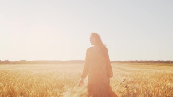 Mulher grávida nos raios do pôr-do-sol. Menina bonita está andando no campo esperando o nascimento de uma criança. O conceito de maternidade e gravidez. — Vídeo de Stock