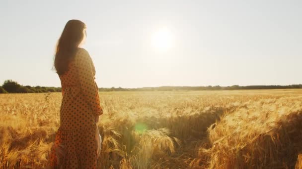 Femme enceinte dans les rayons du coucher du soleil. Belle jeune fille se promène dans le champ en attendant la naissance d'un enfant. Le concept de maternité et de grossesse. — Video