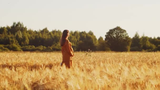 Mujer embarazada en los rayos del atardecer. Hermosa joven está caminando en el campo esperando el nacimiento de un niño. El concepto de maternidad y embarazo. — Vídeo de stock