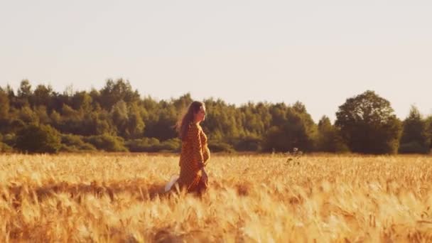 Pregnant woman in the rays of the sunset. Beautiful young girl is walking in the field expecting the birth of a child. The concept of motherhood and pregnancy. — Stock Video