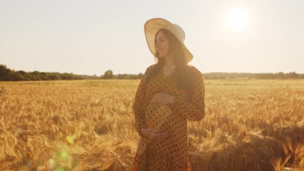 Terhes nő a naplemente sugaraiban. Gyönyörű fiatal lány sétál a mezőn várva a gyermek születését. Az anyaság és a terhesség fogalma. — Stock videók