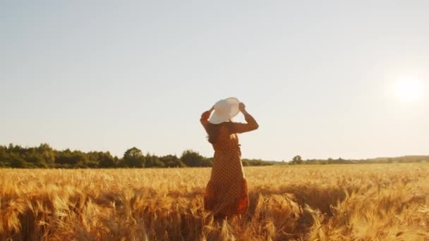 Achterzijde van een mooie jonge zwangere vrouw in de stralen van de zonsondergang. Meisje op het platteland. Vrijheid en geluk. — Stockvideo