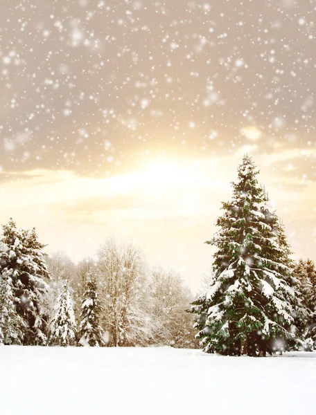 Inverno natureza paisagem — Fotografia de Stock