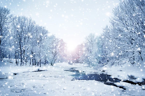 Winterliche Naturlandschaft — Stockfoto