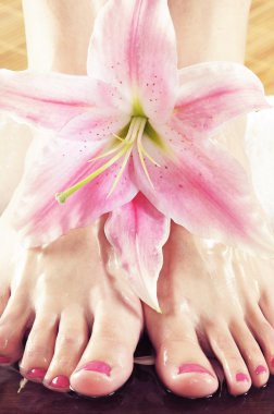 Spa ve cilt bakım kavramı.