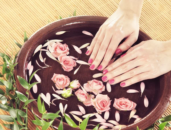 Hands with flowers and petals — Stock Photo, Image