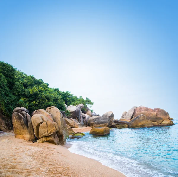 Palm trees, bay, stones and sea. — Stock Photo, Image