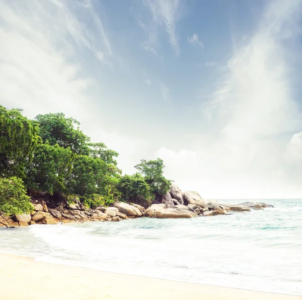 Floresta tropical e costa marítima — Fotografia de Stock