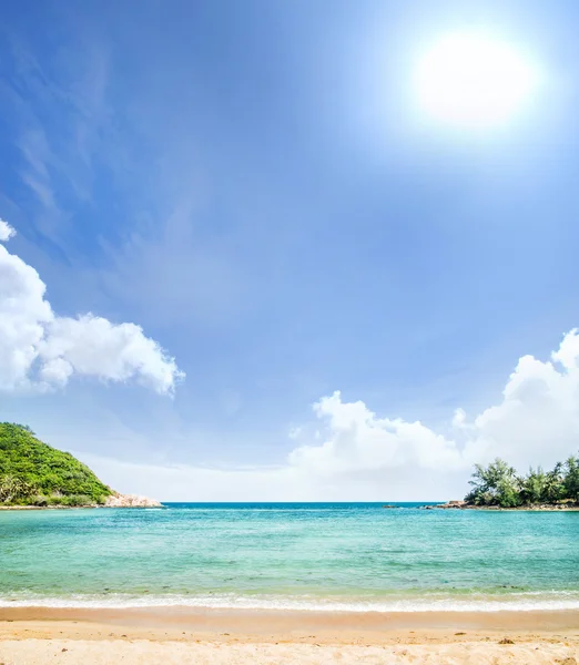 Tropical forest, sea coast and mountains. — Stock Photo, Image