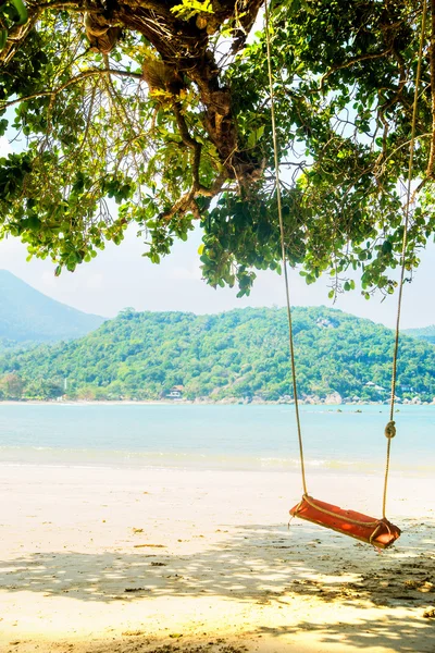 Balanços na praia tropical — Fotografia de Stock