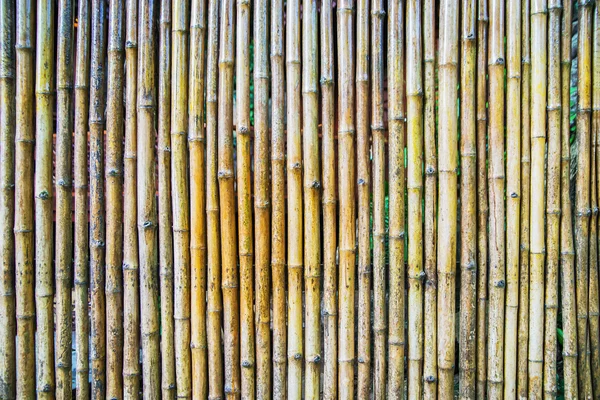 Fundo de bambu natural — Fotografia de Stock