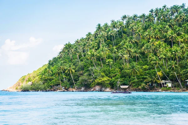 Tropical forest, sea coast and mountains. — Stock Photo, Image