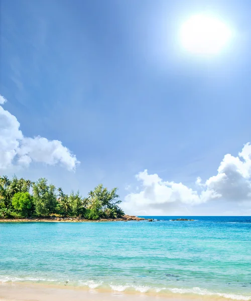 Floresta tropical, costa marítima e montanhas — Fotografia de Stock