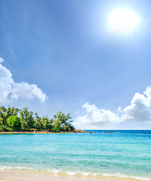 Tropical forest, sea coast and mountains