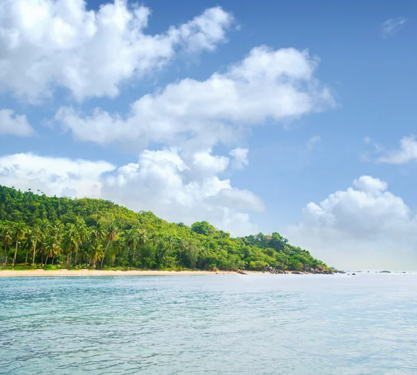 Tropical forest, sea coast and mountains. — Stock Photo, Image