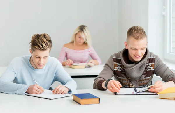 Grup de studenți adolescenți care studiază la lecția din sala de clasă — Fotografie, imagine de stoc