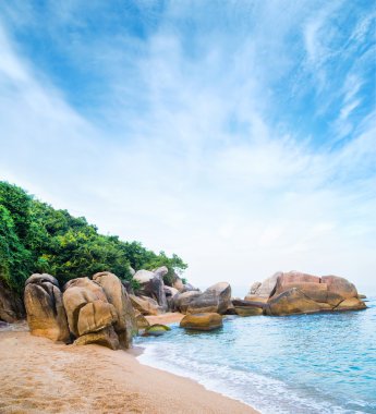 Egzotik palmiye orman, plaj ve kayalar