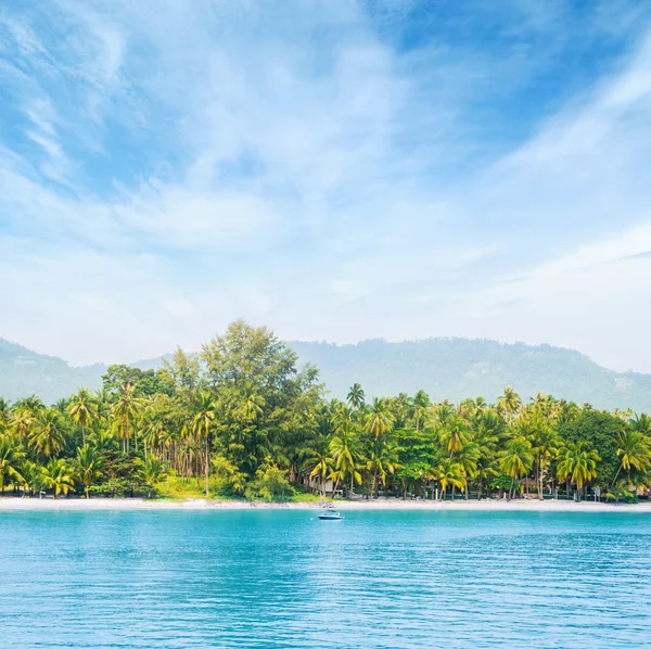 Palmiye ağacı orman, plaj ve dağlar — Stok fotoğraf