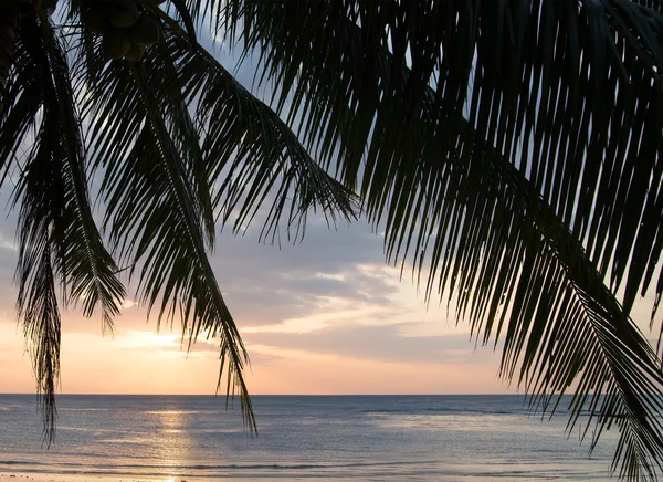 Прекрасний вид на захід сонця на пляжі — стокове фото