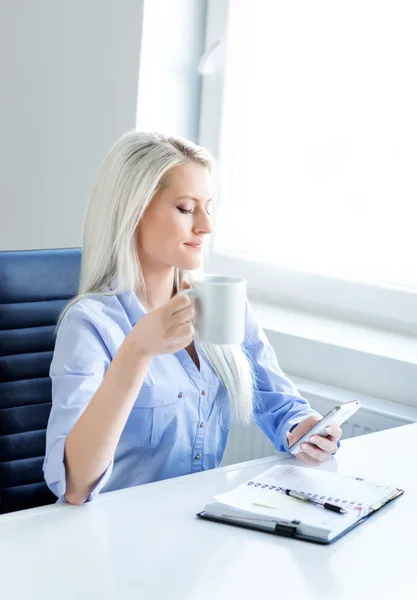 Confident business woman working in office — Stock Photo, Image