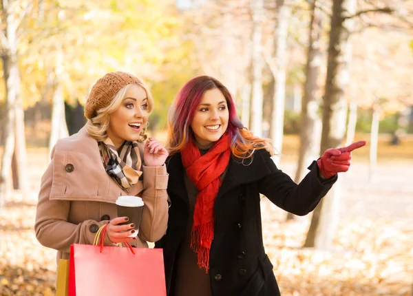 Två vackra kvinnor har en avkopplande konversation med kaffe efter shopping promenader i parken höst — Stockfoto