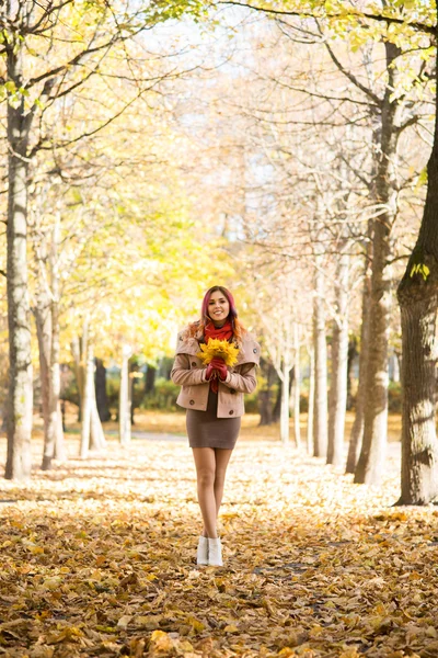 Jovem mulher atraente andando no parque na época do outono segurando folhagem colorida . — Fotografia de Stock