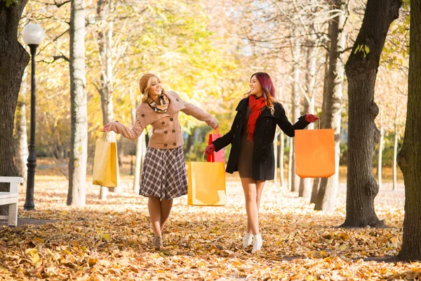 Twee gelukkige vrienden met boodschappentassen wandeling door het park in het najaar. — Stockfoto