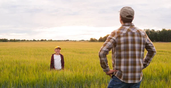 Çiftçi ve oğlu günbatımı tarımının önünde. Kırsalda bir adam ve bir çocuk. Babalık kavramı, köy hayatı, tarım ve kırsal yaşam tarzı..