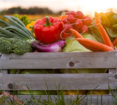 Vegetable box in front of a sunset agricultural landscape. Countryside field. The concept of natural food, fruits and vegetables production, farming and healthy eating.