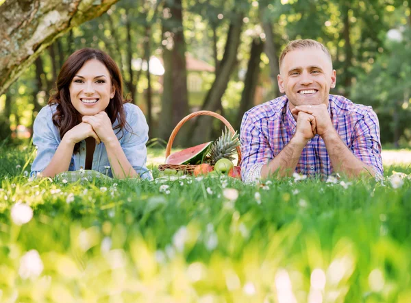 Pareja feliz relajándose en un picnic —  Fotos de Stock