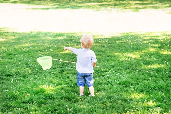 Petit garçon attrapant des papillons — Photo