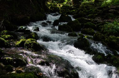 Taşların arasında bir dağ nehrinin akıntısı