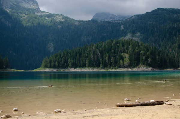 Landscape with a lake in the background of mountains and an island with a coniferous forest