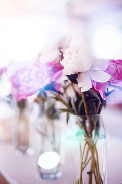 Flores cor de rosa e branco Buttercup — Fotografia de Stock