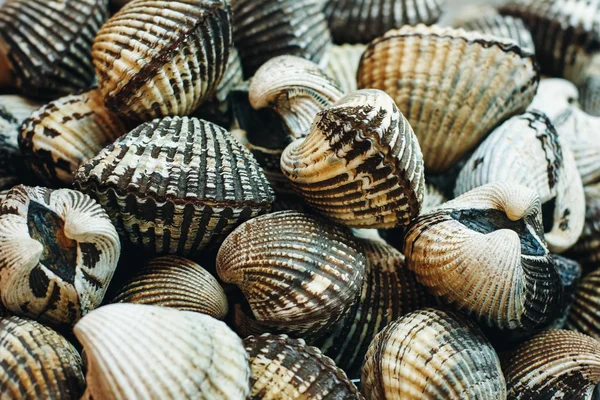 Fischmarkt in Thailand — Stockfoto