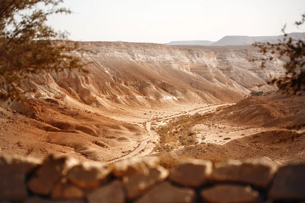 Vue de la montagne sur le désert du Néguev — Photo