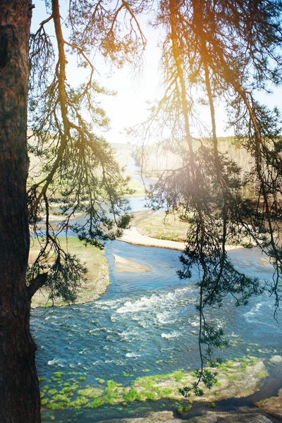 Пейзаж с видом на переполнение реки — стоковое фото