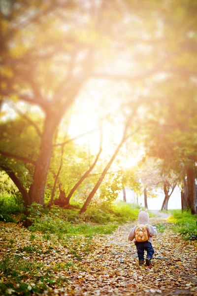 Söt liten pojke i roliga kläder att resa i en skog — Stockfoto