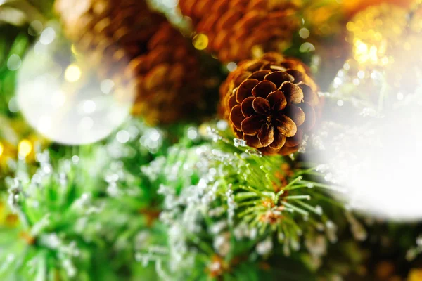 Köknar ağacı dalı ve koniler Noel kompozisyonu — Stok fotoğraf