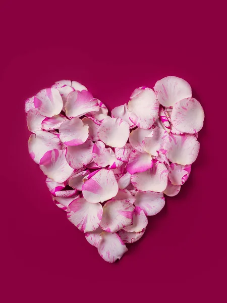 Holiday Heart Shaped Wreath Made Light Rose Petals Red Background — Stock Photo, Image