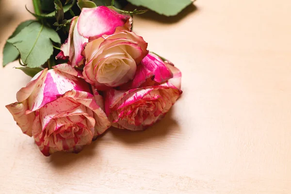 Schöner Strauß Rosa Und Weißer Rosenblüten Nahaufnahme Auf Beigem Pastellhintergrund — Stockfoto