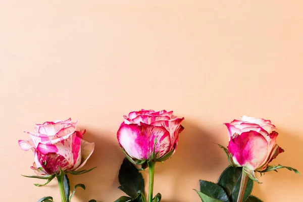 Krásná Kytice Růžové Bílé Růže Květiny Zblízka Béžové Pastelové Pozadí — Stock fotografie