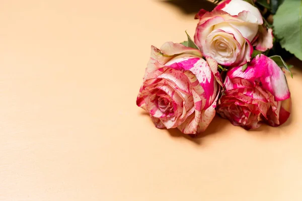 Bellissimo Bouquet Fiori Rosa Rosa Bianca Primo Piano Sfondo Beige — Foto Stock