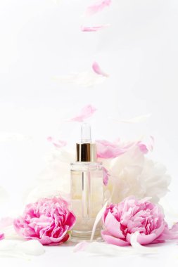 Beyaz arka planda pembe ve beyaz şakayık çiçekleri arasında kozmetik serumu, yağ ve özü olan damlatıcı ile şeffaf maket şişesi, Sevgililer Günü hediyesi