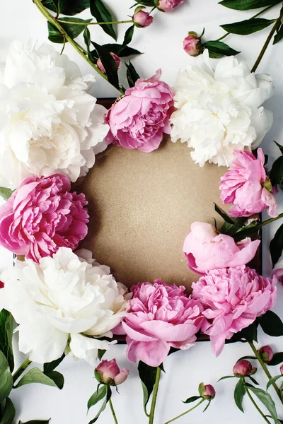 Проста Плоска Квіткова Рамка Рожевих Білих Півоній Концепція Весняного Літнього Стокове Зображення