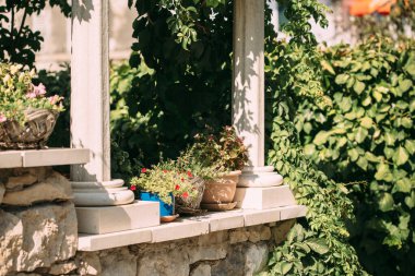 Saksı çiçekleri, çiçek açan çiçekler yaz mevsiminde verandada.