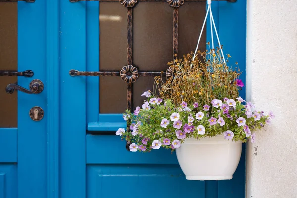 Blue Vintage Door Hanging Flowerpot Little Pink Flowers Close — Stock Photo, Image