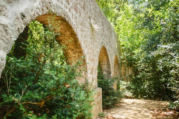 Antigua Arquitectura Erosionada Del Acueducto Exuberante Follaje Tropical Verde Del — Foto de Stock