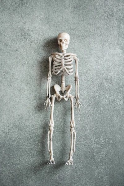 Little Toy Skeleton Grey Background Minimalistic Halloween Concept Top View — Stock Photo, Image