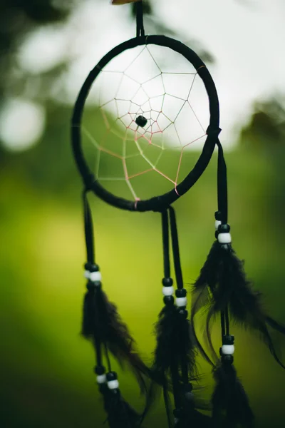 Zwarte dream catcher op groene achtergrond — Stockfoto